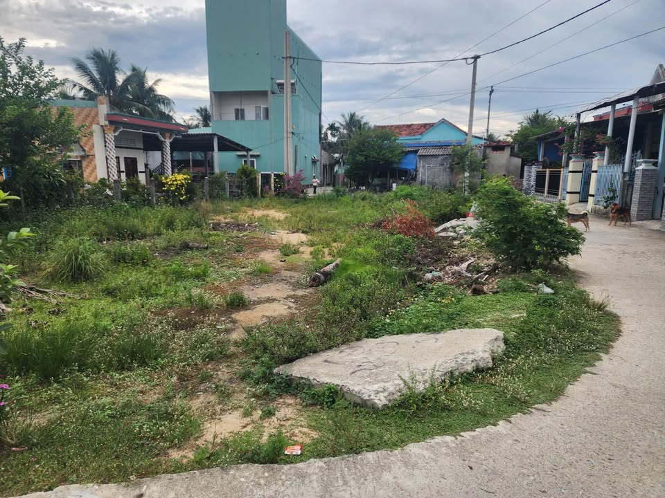 Đất thổ cư thôn An Mỹ, xã Mỹ Cát 176m² giá chỉ 3xx triệu - Bán gấp!