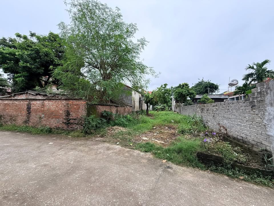 Đất nền Tiền Phong Yên Dũng 200m² - Chính chủ bán lô đất hai mặt tiền