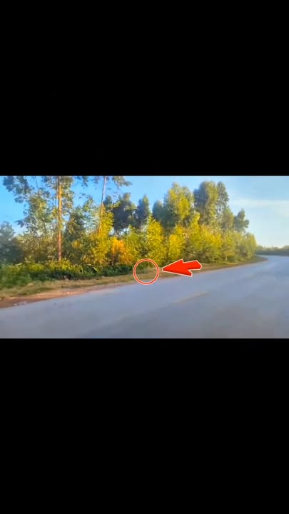 Đất nền QL37 Bắc Lũng 90m² giá 1.6 tỷ - Cơ hội đầu tư hấp dẫn!