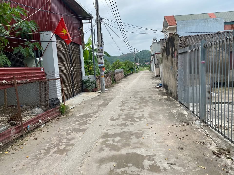 Đất thổ cư 79m² tại TDP Trung, Yên Dũng - Giá thỏa thuận hấp dẫn!