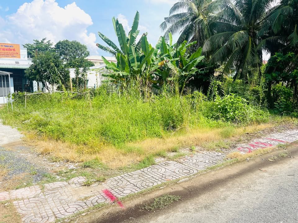 Đất nền phường Long Châu, Vĩnh Long 100m² chỉ 795 triệu - Cơ hội đầu tư tuyệt vời!