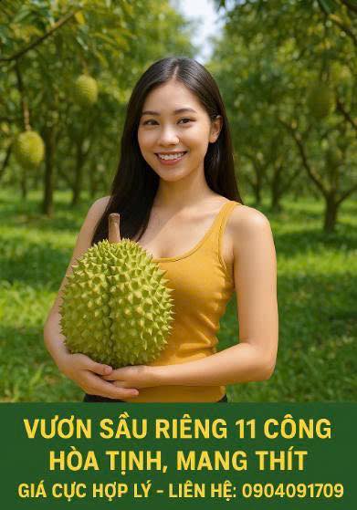 Đất sầu riêng 11 công tại xã Hoà Tịnh, Mang Thít - Giá cực hấp dẫn!