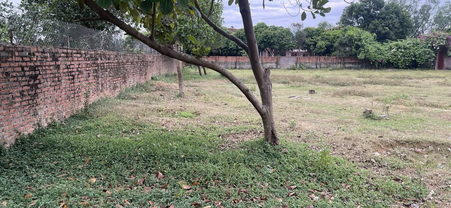 Đất nền Hiệp Hòa 300m² giá 1.1 tỷ - Gần trường học và cụm công nghiệp!