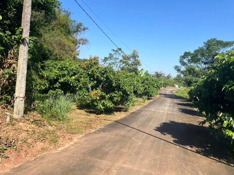 Đất nền 400m² tại xã Đồng Lạc, Bắc Giang - Giá chỉ 300 triệu, cơ hội đầu tư hấp dẫn!