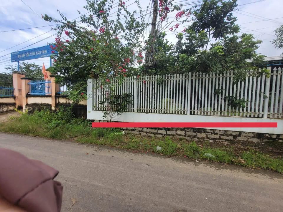 Đất mặt tiền Đường Nhựa Diên Xuân 241m² giá 699 triệu - Sổ đỏ chính chủ!