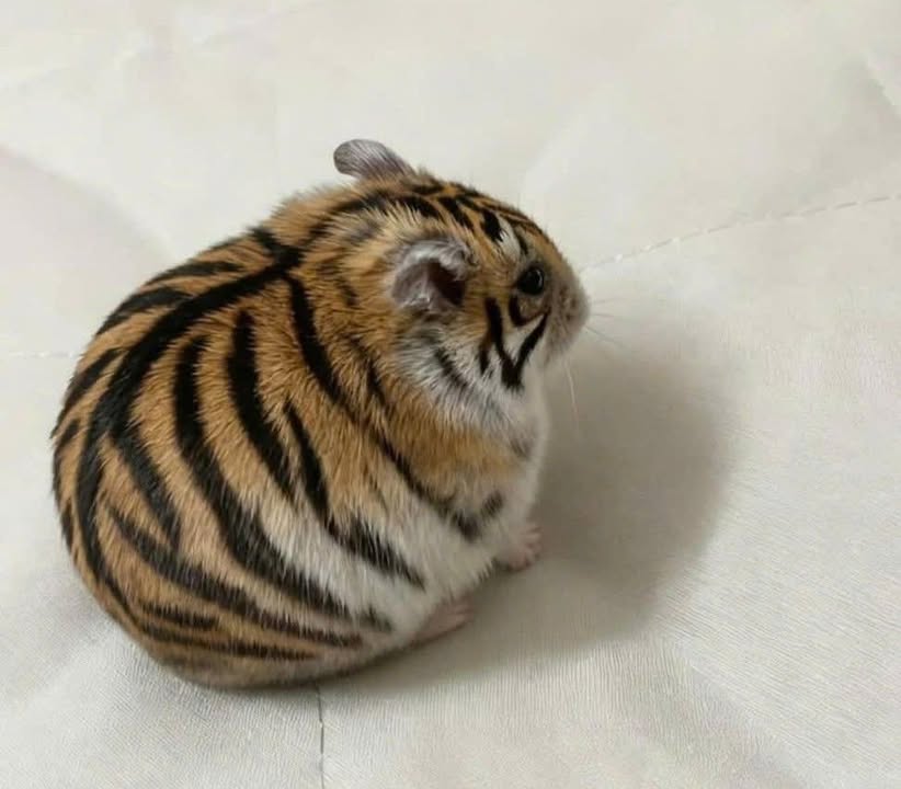 Đất nền Long Tân 180m² giá 810 triệu - Chính chủ cần bán gấp!