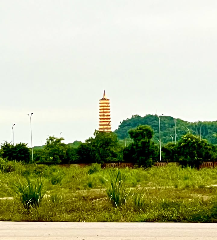 Đất nền khu VIP TĐC dãy 1-2-3 Gia Sinh 300m² - Giá cả thỏa thuận hấp dẫn!