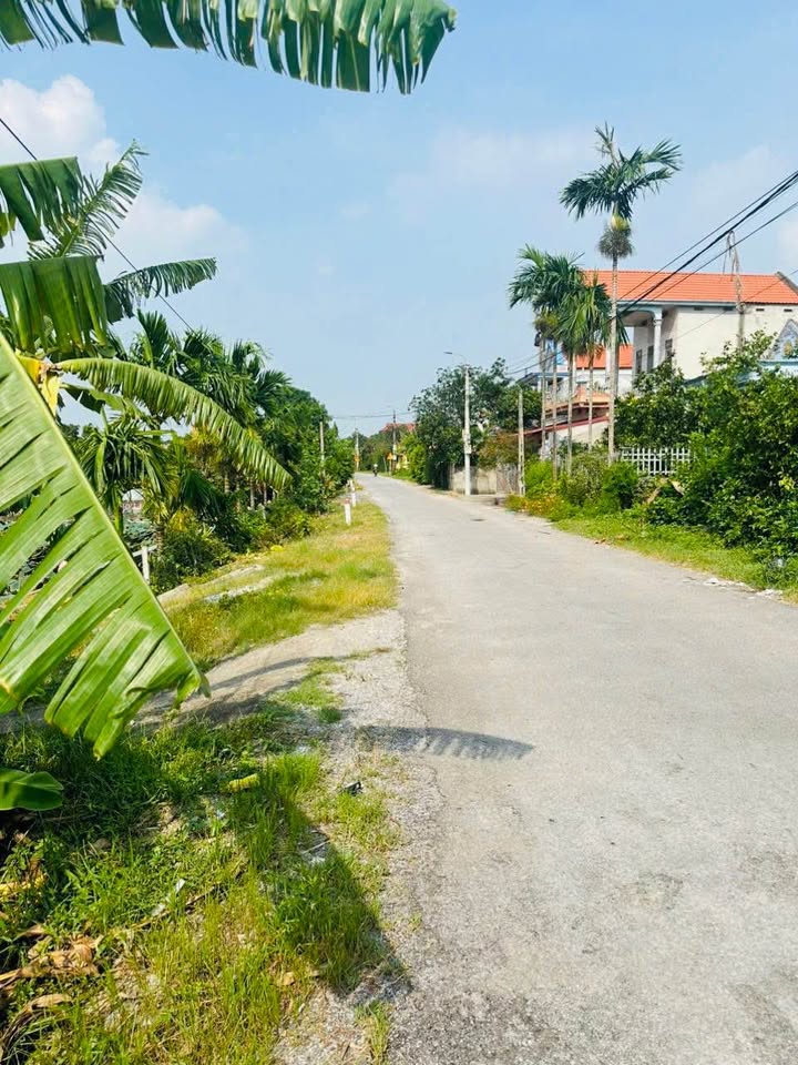 Đất nền Bồ Đề - Bình Lục 223m² giá 1.75 tỷ - Sổ đỏ sang tên nhanh chóng!