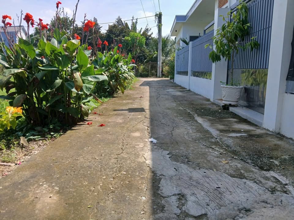 Đất nền Bình Phong, Mỹ Phong 82m² giá chỉ 500 triệu - Đường thông ô tô vào tận nơi!