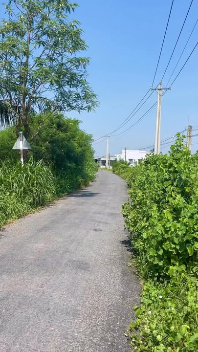 Đất nền mặt tiền kênh N8, xã Bình Phú, Gò Công Tây - 176m², giá 460 triệu - Cơ hội đầu tư tuyệt vời!