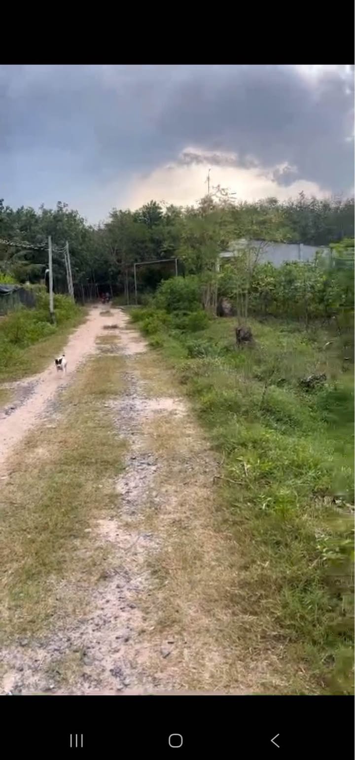 Đất thổ cư 700m² tại An Cơ Châu Thành giá 2.55 tỷ - Cơ hội đầu tư tuyệt vời!