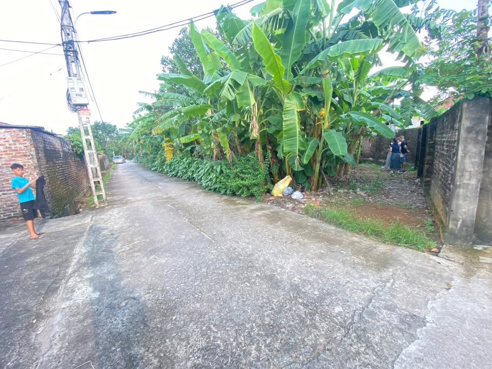 Đất nền Chương Mỹ 83m² giá chỉ 1.8 tỷ - Lô góc đẹp, dân cư sầm uất!