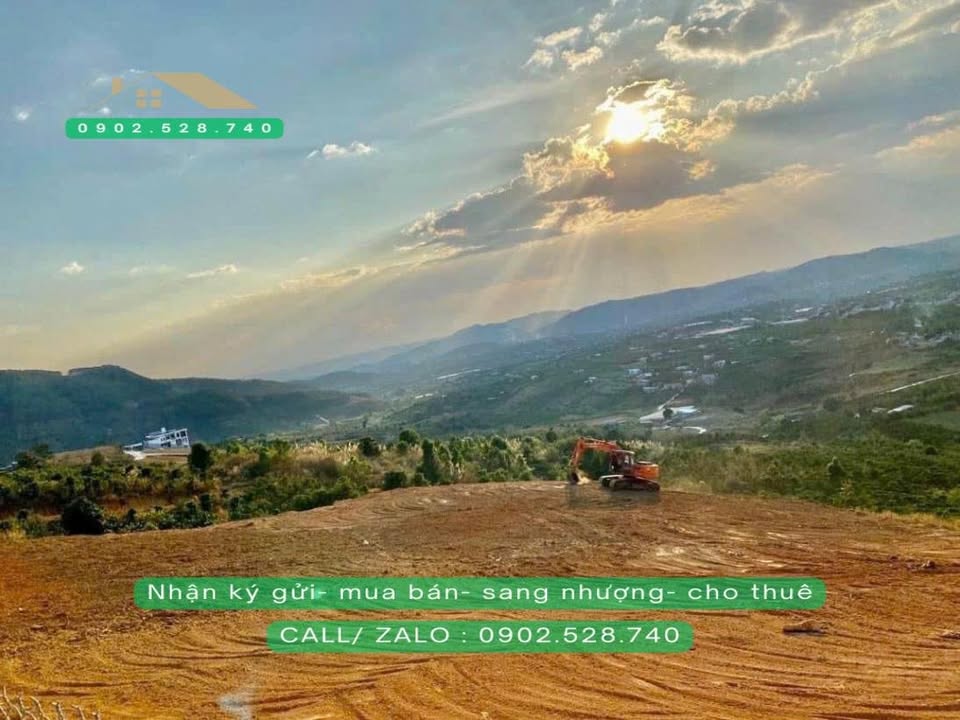 Đất nền 5161m² tại Nam Ban, Lâm Đồng - Sổ hồng riêng, giá 6.5 tỷ - Cơ hội đầu tư tuyệt vời!