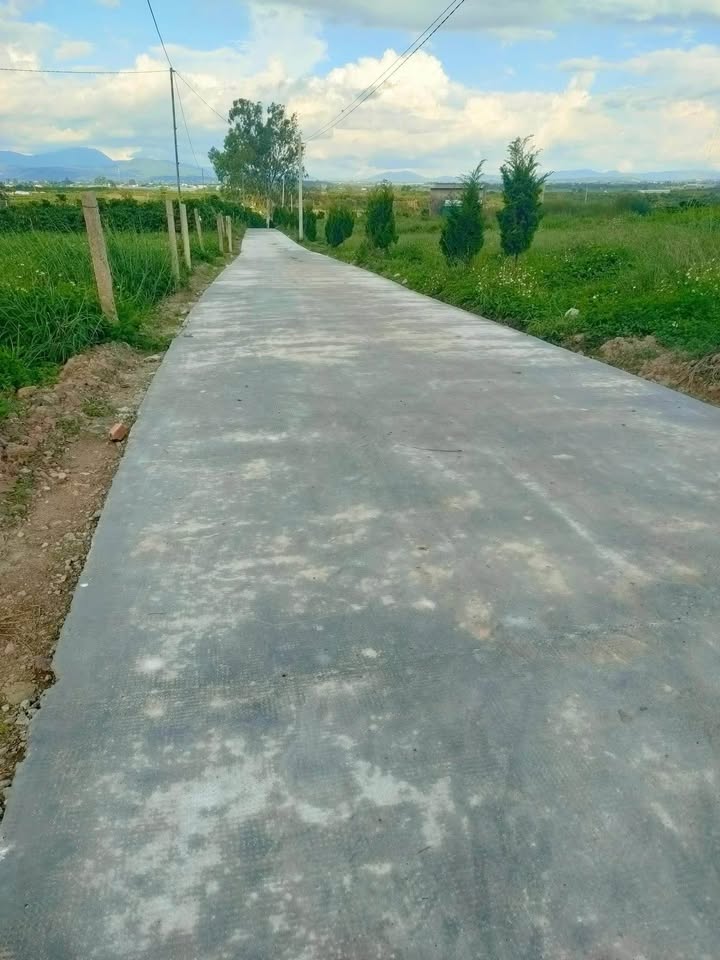 Đất thổ cư 75m² mặt tiền đường bê tông Tân Văn - Giá chỉ 269 triệu