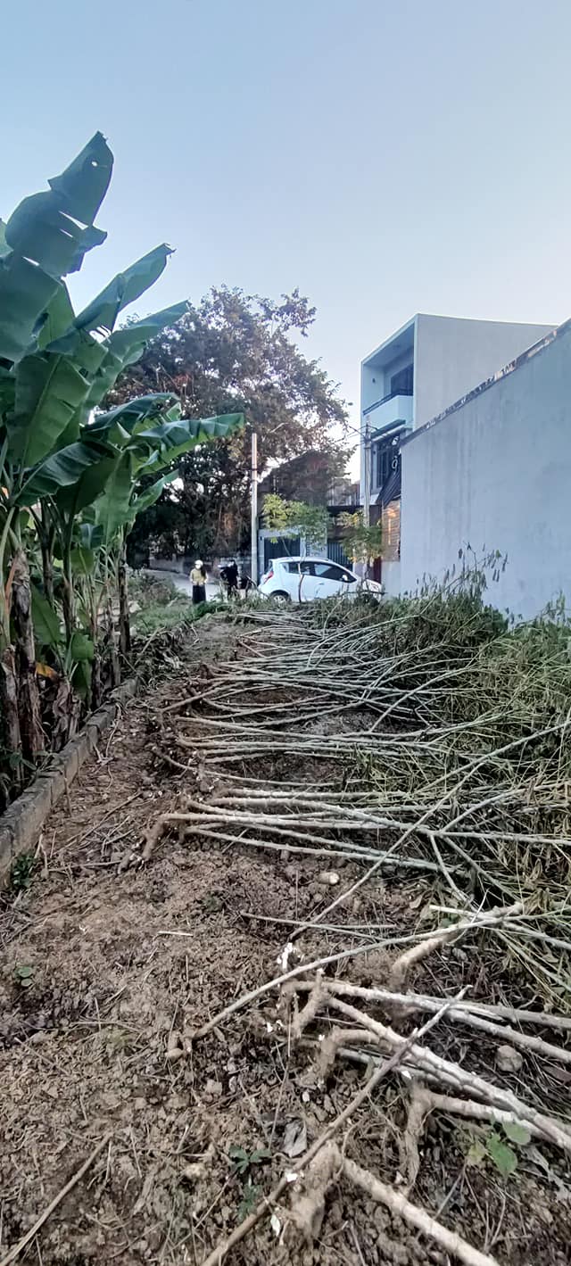 Đất mặt đường Kéo Tào, phường Đông Kinh, 116m² giá 1 tỷ - Đầu tư sinh lời ngay!