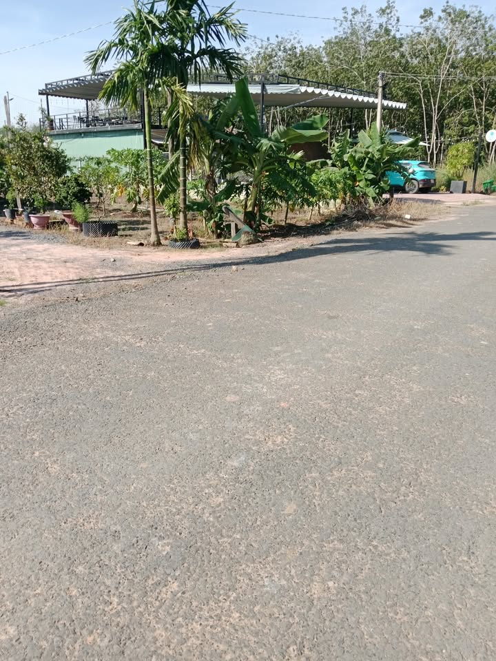 Đất nền Tân Biên 1079.2m² giá chỉ 55 triệu - Cơ hội đầu tư lý tưởng!