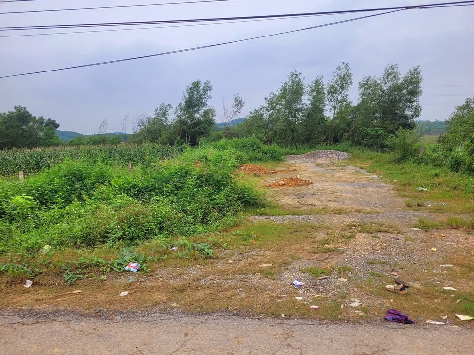 Đất nền Hồng Sơn, Đô Lương 300m² giá 1.2 tỷ - Lô góc 2 mặt tiền hấp dẫn!