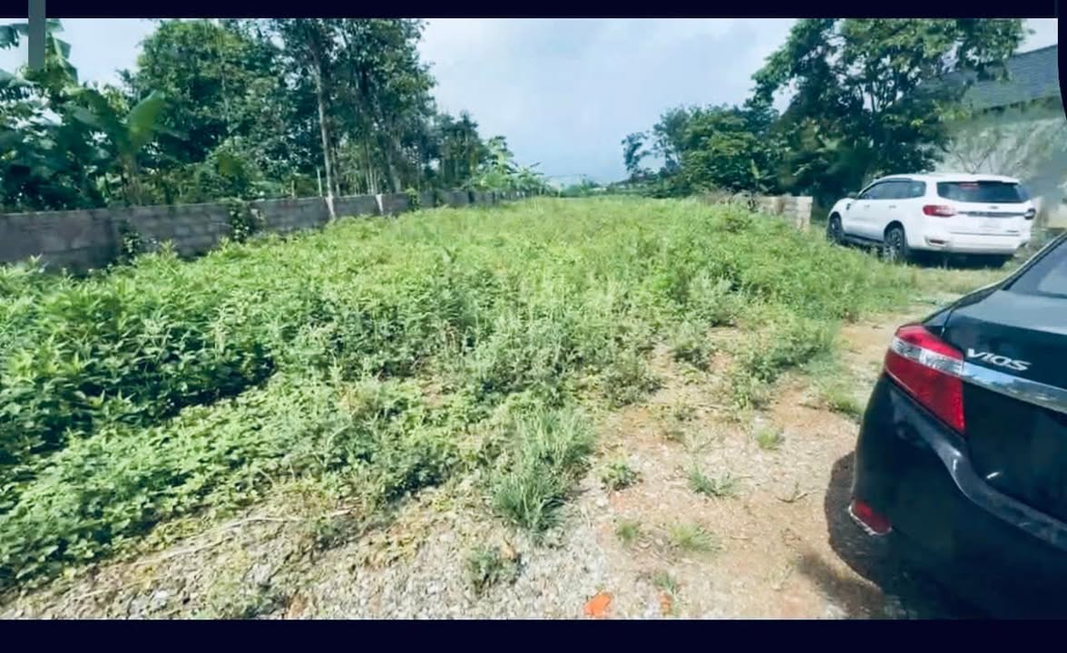 Đất nghỉ dưỡng Yên Bài, Ba Vì 720m² giá 720 triệu - Lô góc tuyệt đẹp!