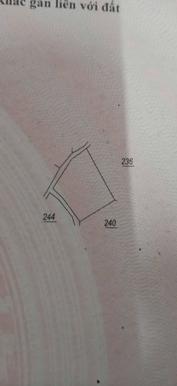 Đất Nền Ninh Lộc, Ninh Hòa 1020m² chỉ 74 triệu - Sổ hồng chính chủ!