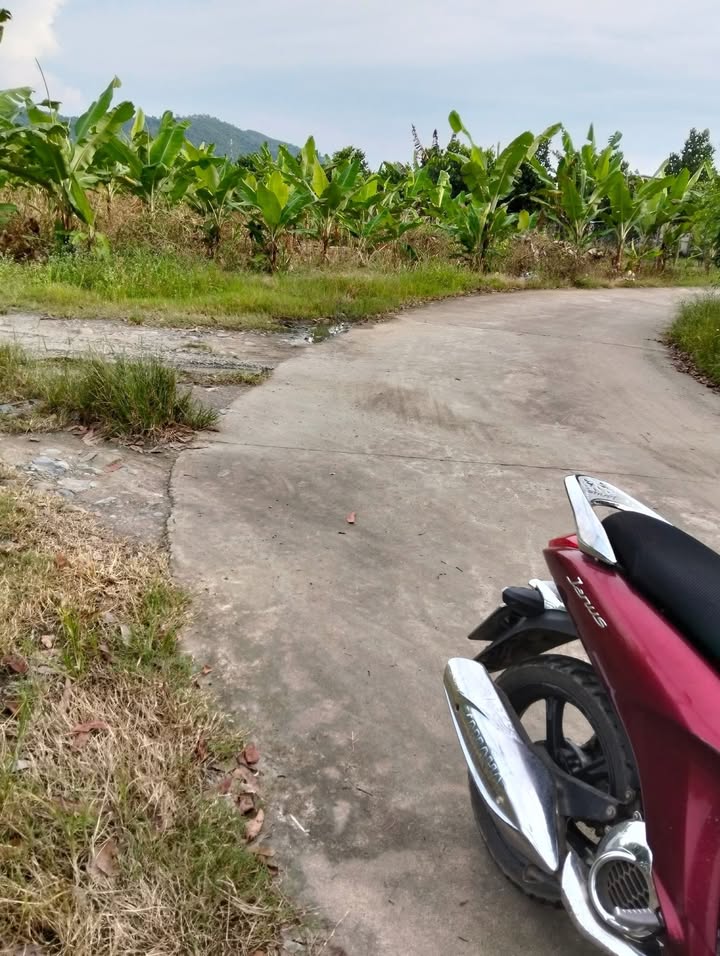 Đất nền xã Phú Thịnh, Tân Phú, 1100m² giá 550 triệu - Cơ hội đầu tư tuyệt vời!