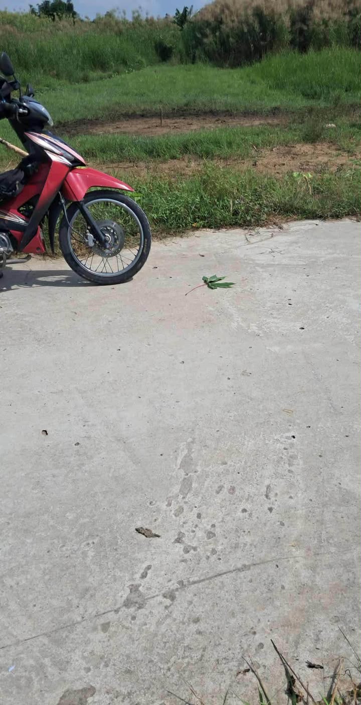 Đất nền Long Phước 144m² giá chỉ 590 triệu - Đầu tư sinh lời ngay!