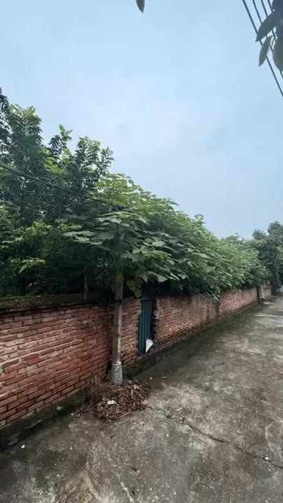 Đất nền Chu Hoá Việt Trì 334m² giá chỉ 1.45 tỷ - Cơ hội đầu tư tuyệt vời!