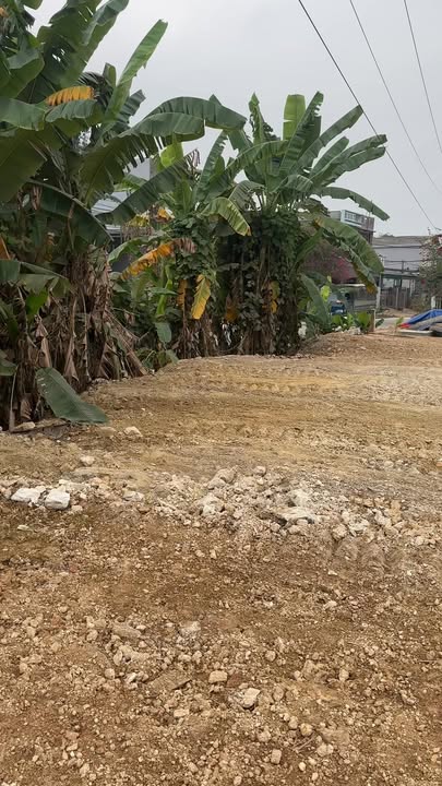 Kho bãi 4000m² tại Mậu Đông, Văn Yên, Yên Bái - Tiềm năng kinh doanh lớn!