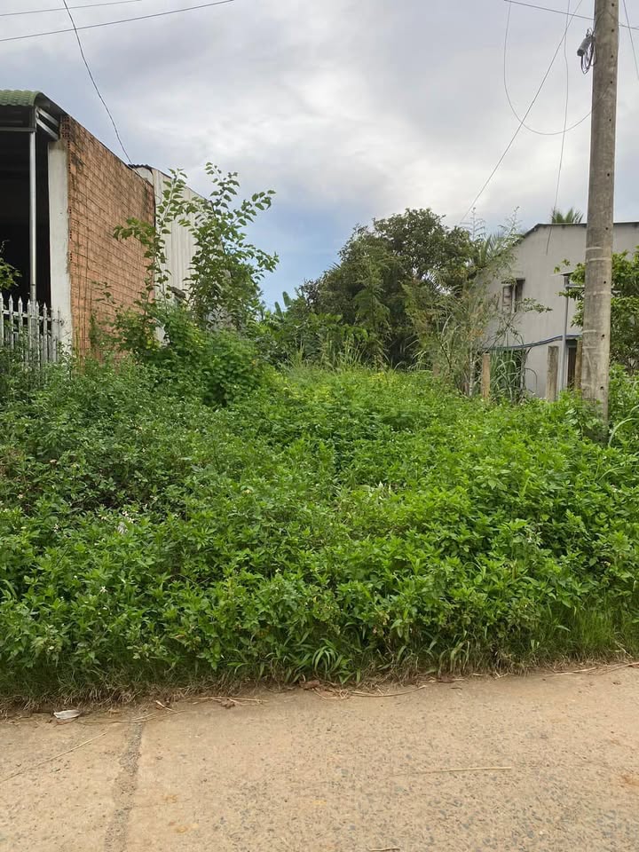 Đất thổ cư Cát Tiên 480m² giá 4.86 tỷ - Vị trí đắc địa gần trung tâm!