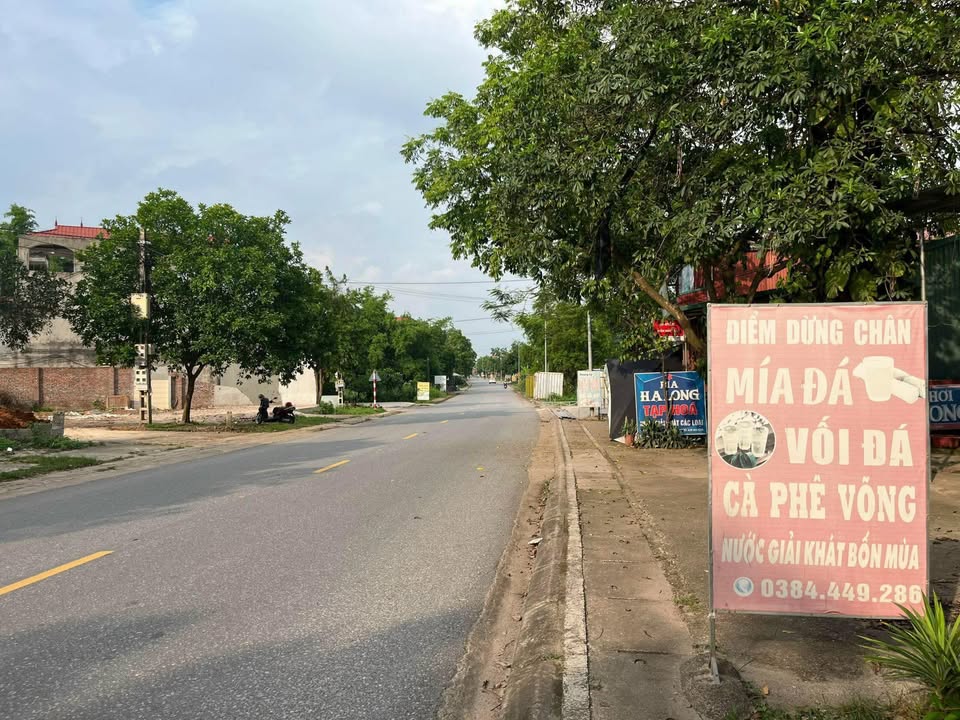 Đất mặt tiền TL295 Ngọc Thiện 150m² giá chỉ 1 tỷ - Đầu tư sinh lời ngay!