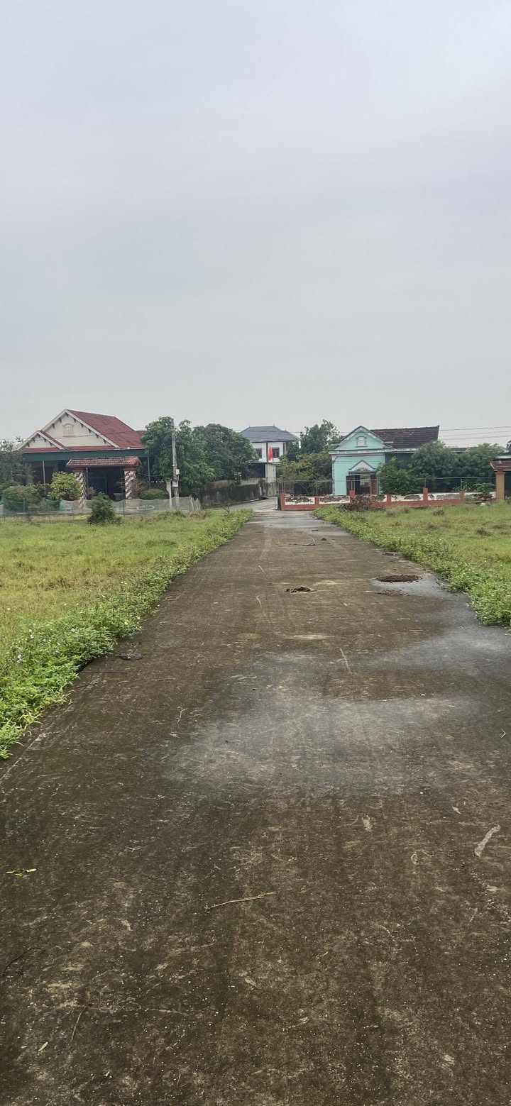 Đất Nền Nghi Kiều 1540m² giá chỉ 400 triệu - Cơ hội đầu tư tuyệt vời!