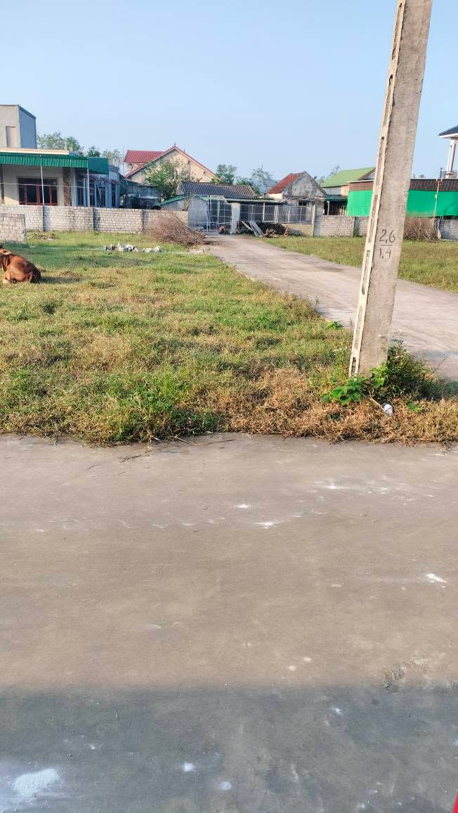 Đất lô góc 142m² tại Nghi Thịnh, giá thỏa thuận - Đầu tư sinh lời ngay!