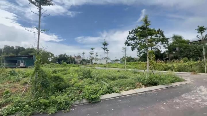 Đất thổ cư 100m² tại Phú Cát, Quốc Oai giá 2 tỷ - Chủ cần bán gấp!