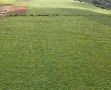 Đất nền Đắk R'Tih, Tuy Đức 28ha - Giá 14.5 tỷ, Pháp lý rõ ràng!