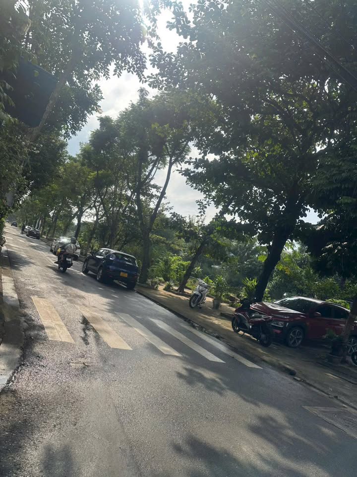 Đất nền Đinh Đức Thiện, Liên Chiểu, Đà Nẵng 256m² - Giá thỏa thuận hấp dẫn!