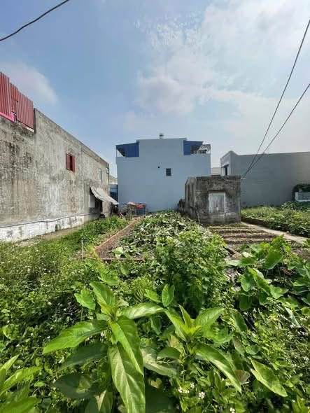 Đất nền Xuân Biều Đẩu Sơn Kiến An 43m² giá chỉ 1 tỷ - Ô tô đỗ cửa, đầu tư sinh lời!