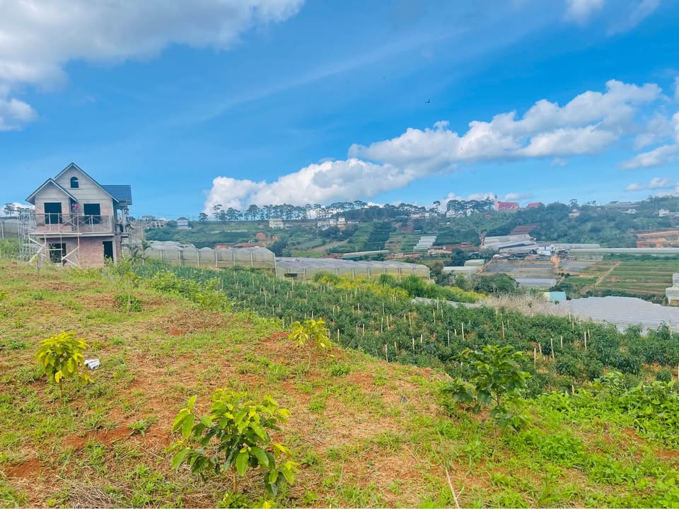 Đất nền đẹp tại Xuân Trường, Đà Lạt 2000m² giá 9 tỷ - View tuyệt đẹp!