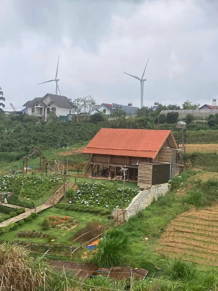 Đất nền đẹp tại xã Trạm Hành, Đà Lạt 1.060m² giá 2.8 tỷ - Săn mây cực chill!