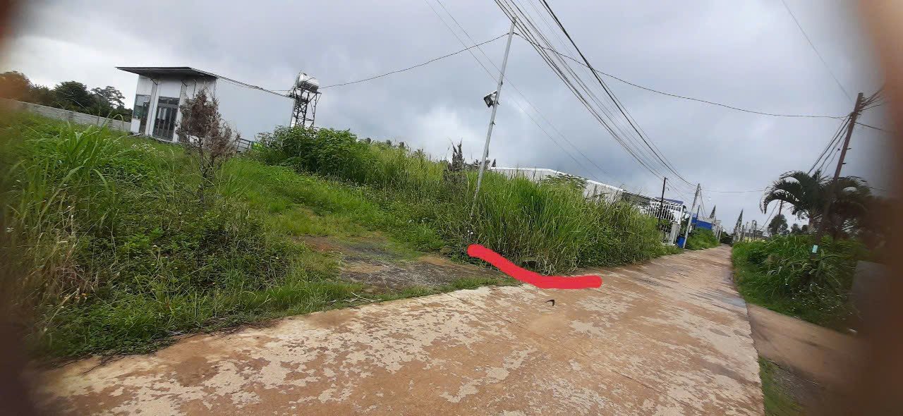 Bán lô đất Phú Hội, Đức Trọng 120m² - Giá thỏa thuận, sổ đỏ chính chủ!