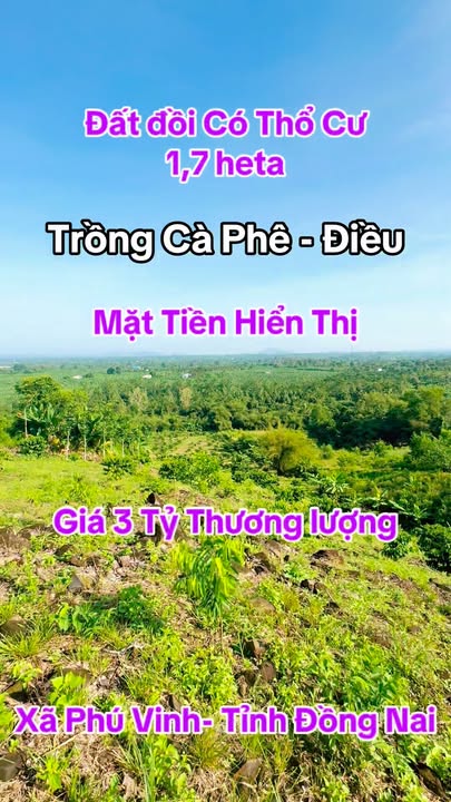 Đất nền thổ cư 300m² view đồi cao tại xã Phú Vinh, Đồng Nai - Giá chỉ 3 tỷ!