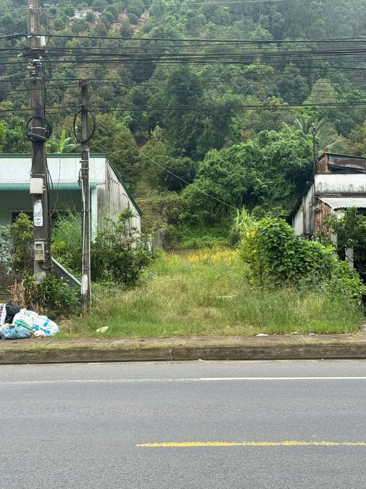 Đất thổ cư mặt tiền Quốc lộ 20, xã Phú Sơn, Tân Phú - Diện tích 300m², giá chỉ 400 triệu!