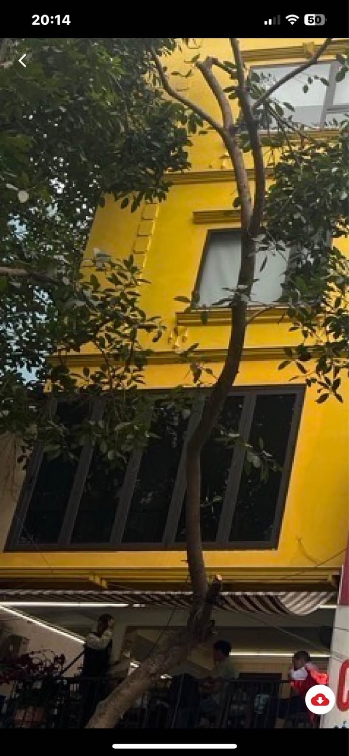 Nhà đầu tư thông minh - Khách sạn 28 phòng tại Phố Hàng Bông 80m² giá 90 tỷ - Lợi nhuận 2.6 tỷ/năm!