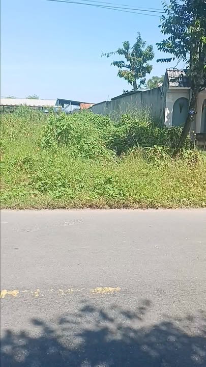 Đất nền 750m² đường Ba Sa, Đức Hòa, Long An giá 4.5 tỷ - Khu vườn lý tưởng!