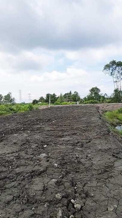 Đất thổ cư 100% Hựu Thạnh, Đức Hòa 150m² giá từ 770 triệu - Đầu tư lý tưởng!