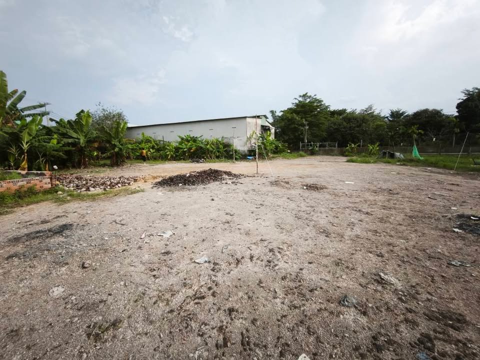 Đất mặt tiền DT830, An Thạnh, Bến Lức 5000m² giá 52 tỷ - Đầu tư sinh lời hấp dẫn!