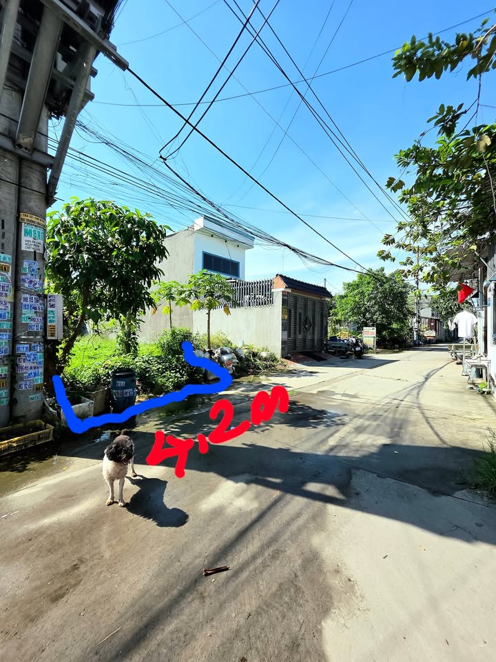 Đất nền Tân Bình Dĩ An 83m² giá 2.05 tỷ - Đầu tư lý tưởng ngay hôm nay!