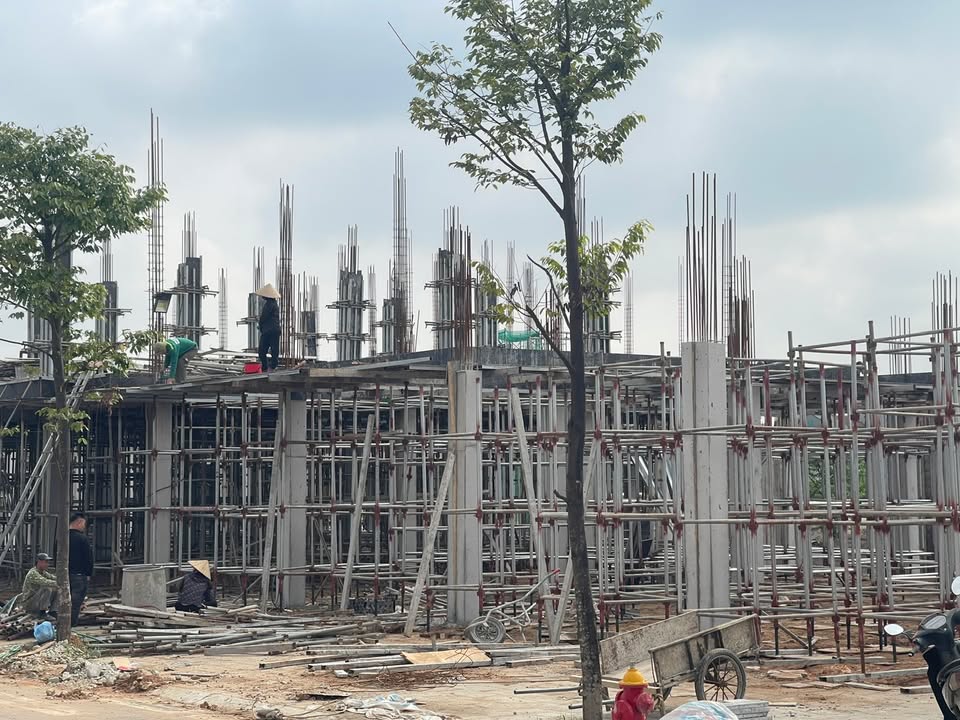 Dự án Phoenix Riverside Việt Trì 96,1ha - Sống chuẩn tinh hoa, đầu tư bền vững!