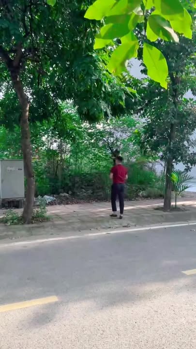 Đất nền dự án Nam Vĩnh Yên 100m² - Vị trí đẹp, giá tốt cho nhà đầu tư!