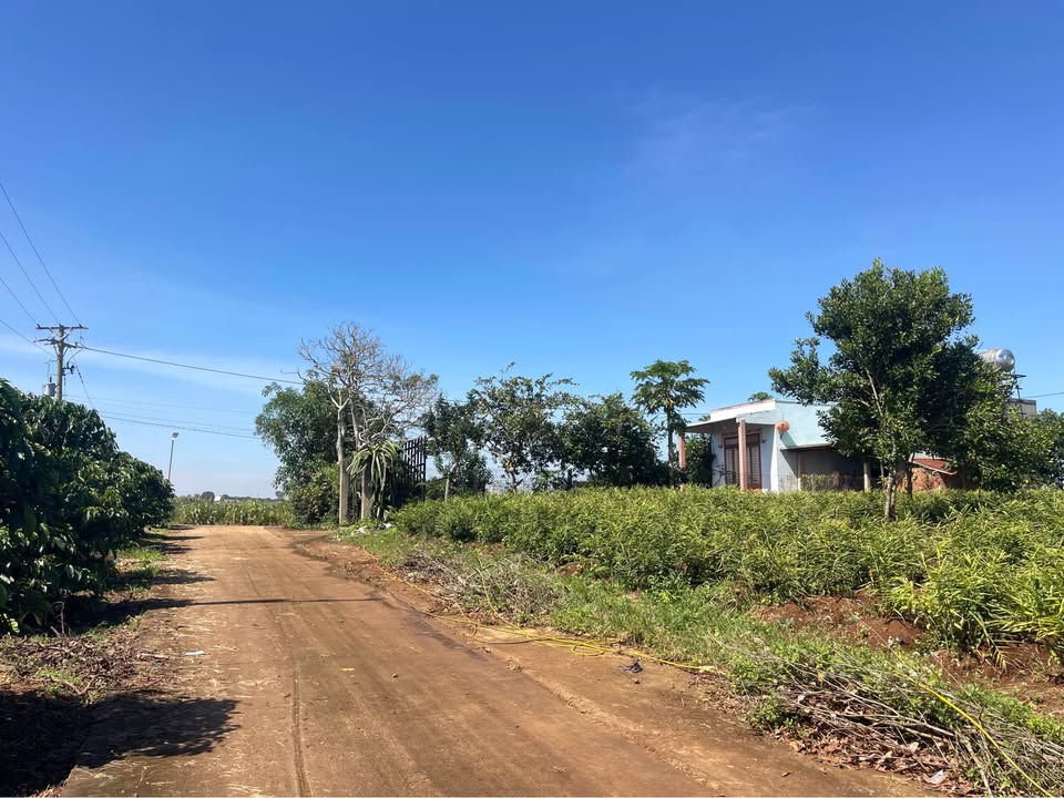 Đất nền Lâm Hà 122m² giá chỉ 550 triệu - Sổ đỏ chính chủ, đầu tư sinh lời!