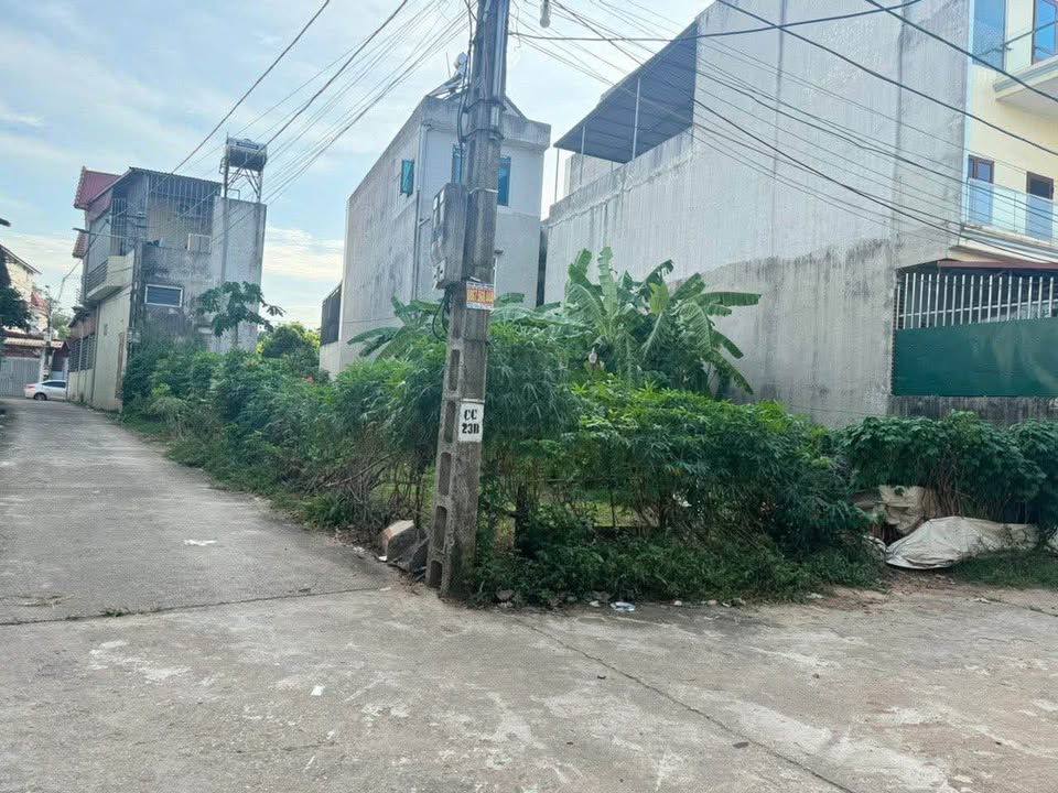 Đất nền lô góc 2 mặt tiền Thôn Đoài, Tây Đằng, Ba Vì 132m² - Tiềm năng sinh lời cao!