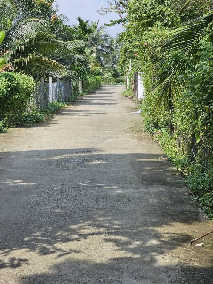 Đất nền Tam Phước Châu Thành 2279m² giá 2.507 tỷ - Đầu tư sinh lời ngay!